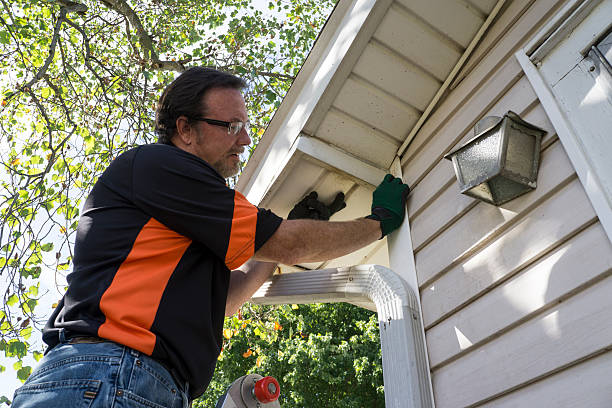 Historical Building Siding Restoration in Reform, AL